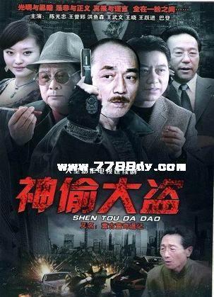 神偷大盗第14集