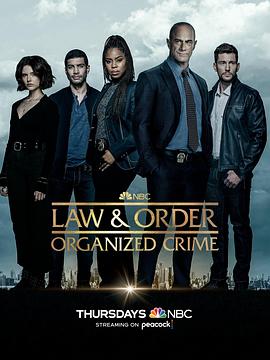 法律与秩序·组织犯罪第三季第2集
