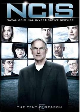 海军罪案调查处第十季第11集