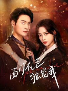 西门礼臣独宠我全集(大结局)