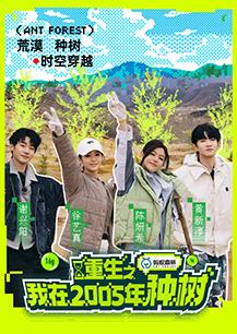 重生之我在2005年种树20250422