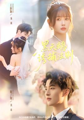 黑天鹅诱捕法册(全集)