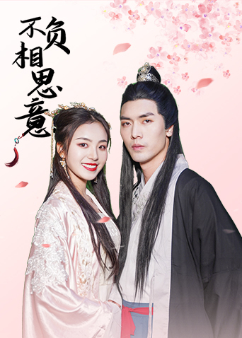 不负相思意第8集