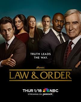 法律与秩序 第二十三季第8集