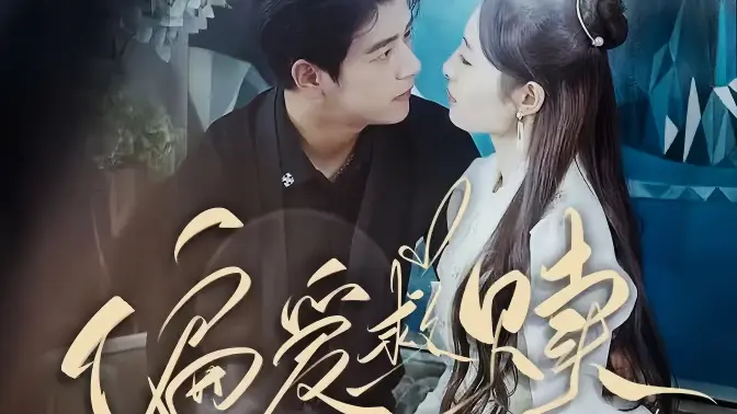 偏爱救赎第1-20集