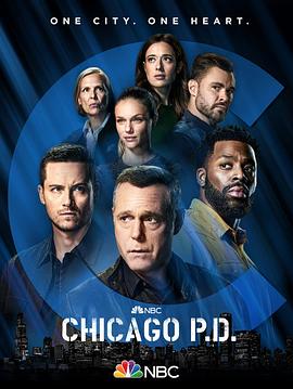 芝加哥警署 第九季(全集)